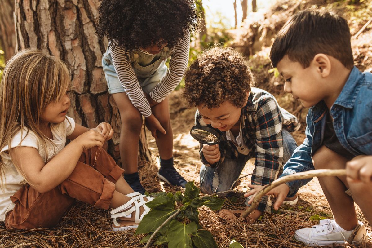 Bambini giocano nel bosco
