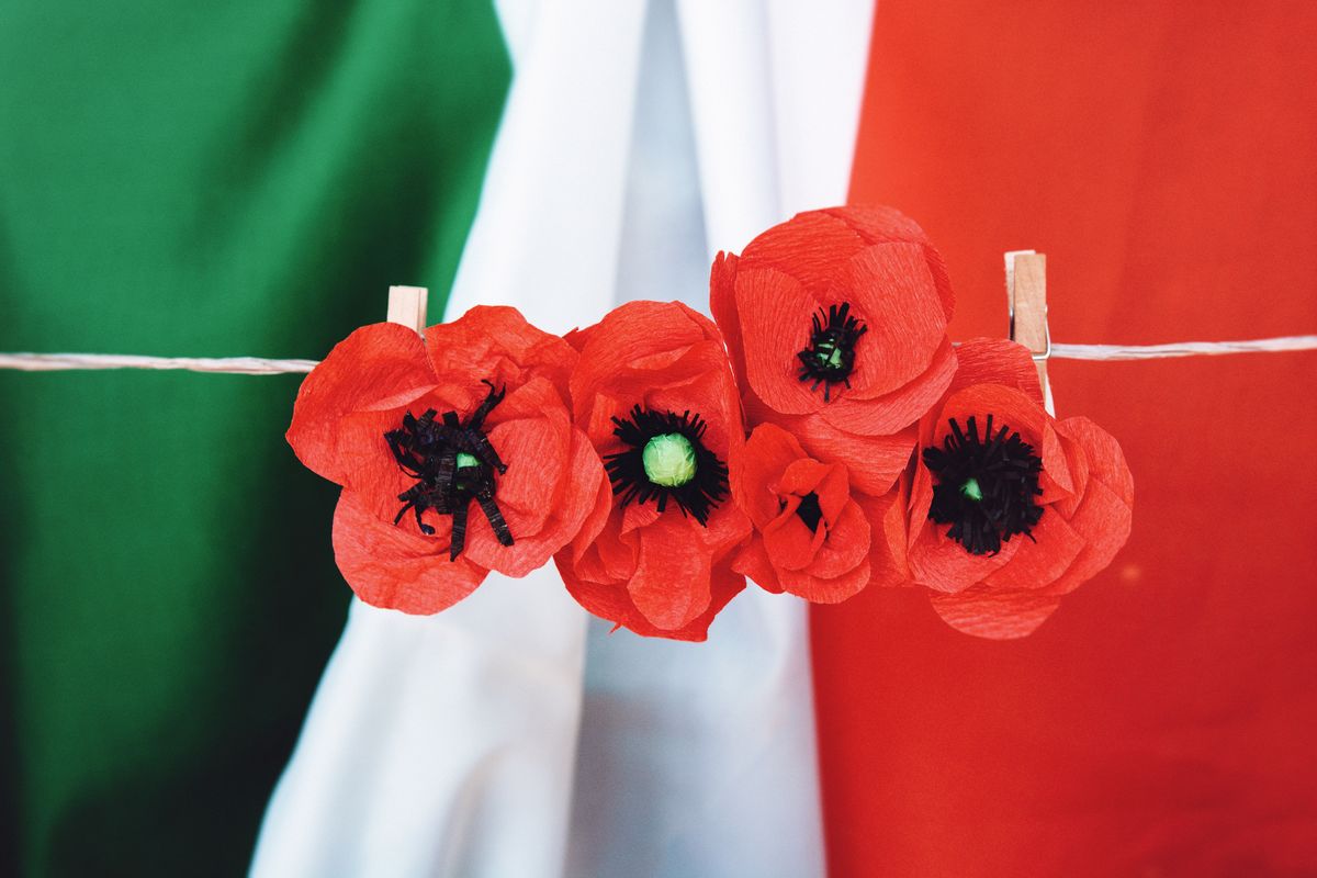 Bandiera italiana e papaveri