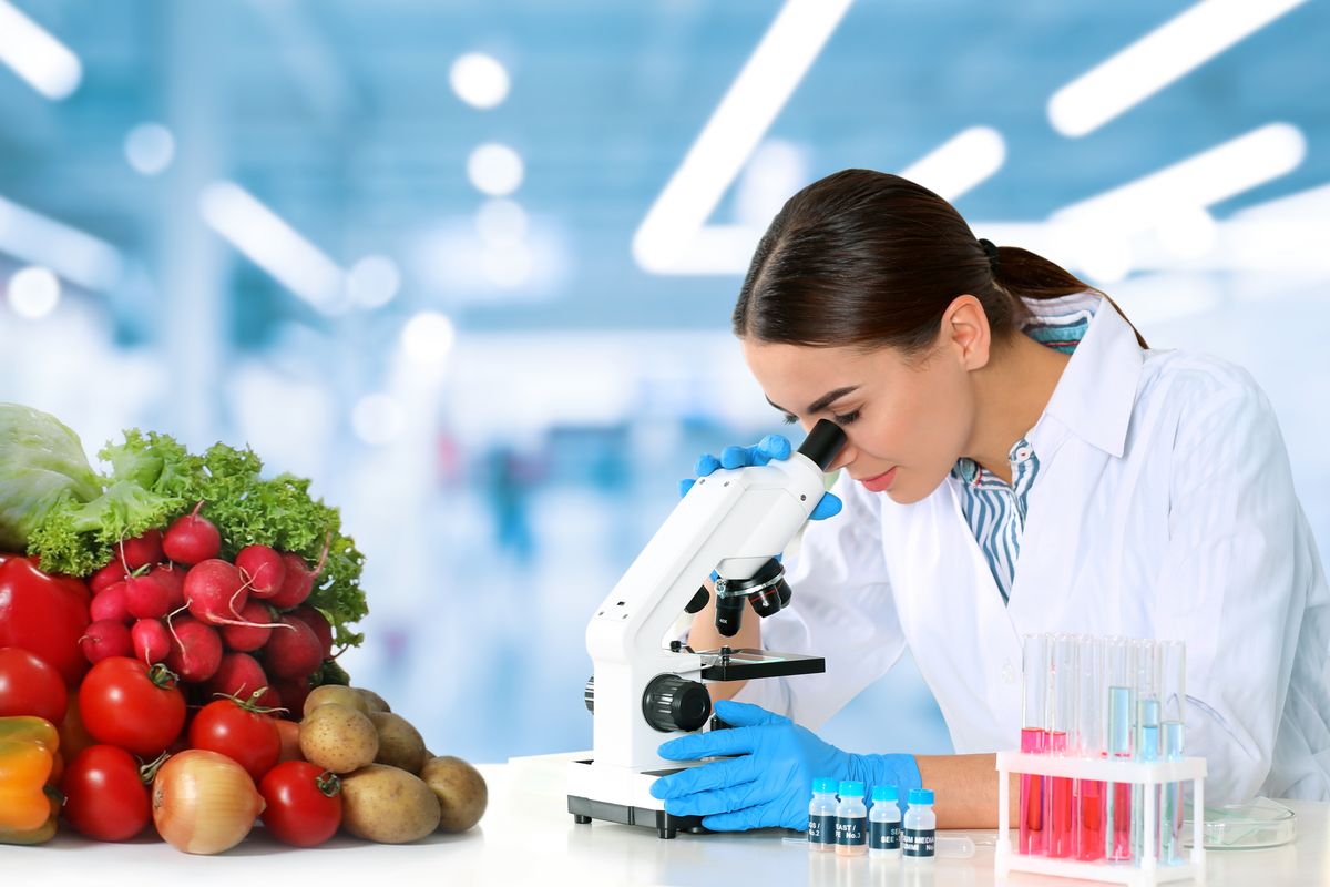 Ricerca alimentare