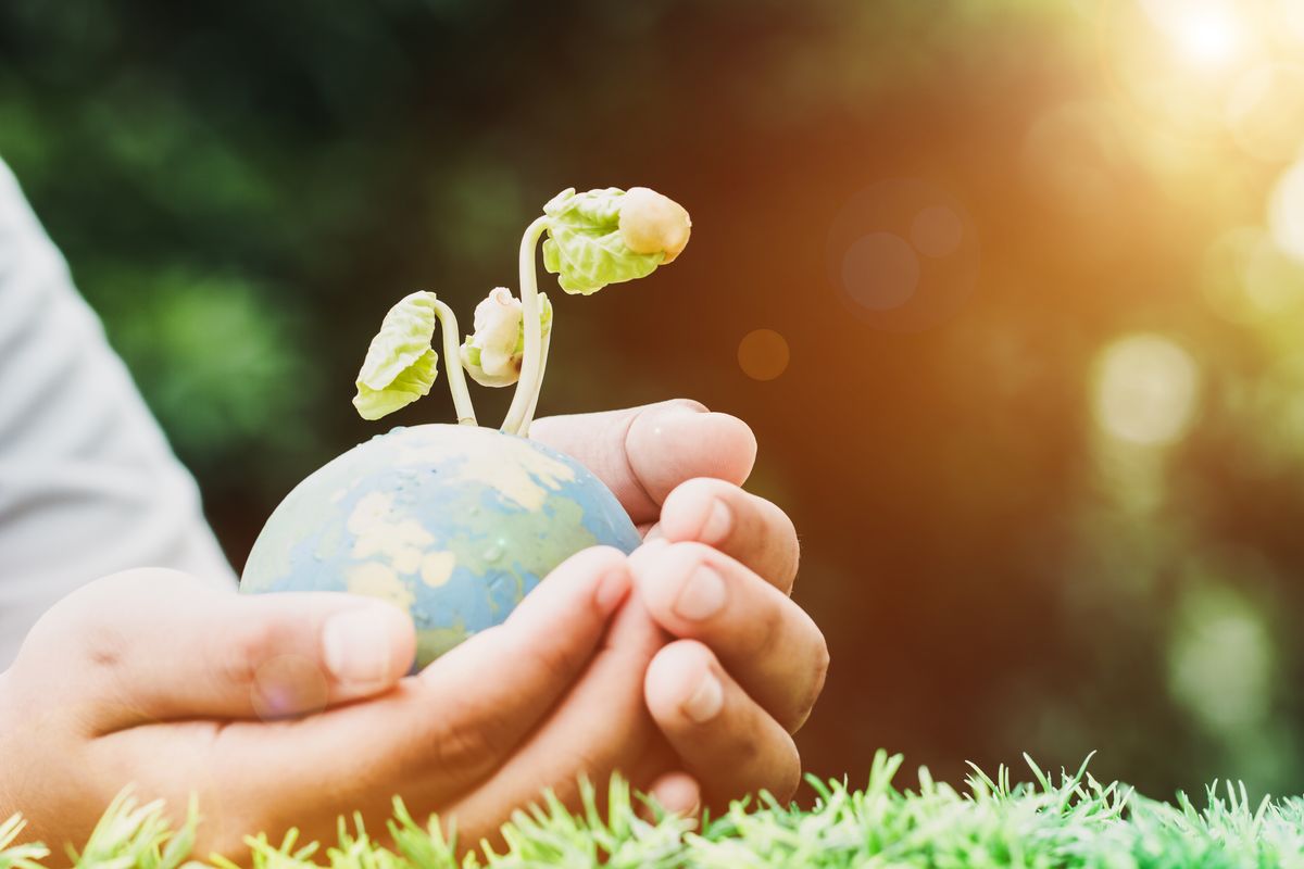 Prendersi cura del pianeta Terra