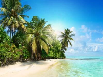Spiaggia tropicale