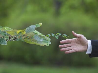 Stretta di mano tra uomo e natura