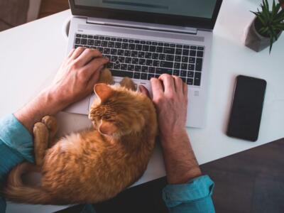 uomo in smart working con gatto