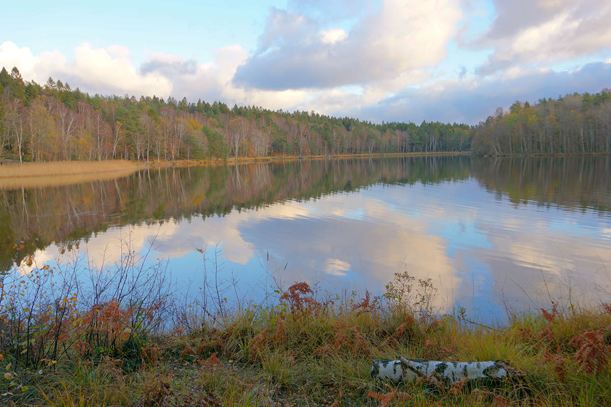 Il lago Stora delsjön di Gothenburg