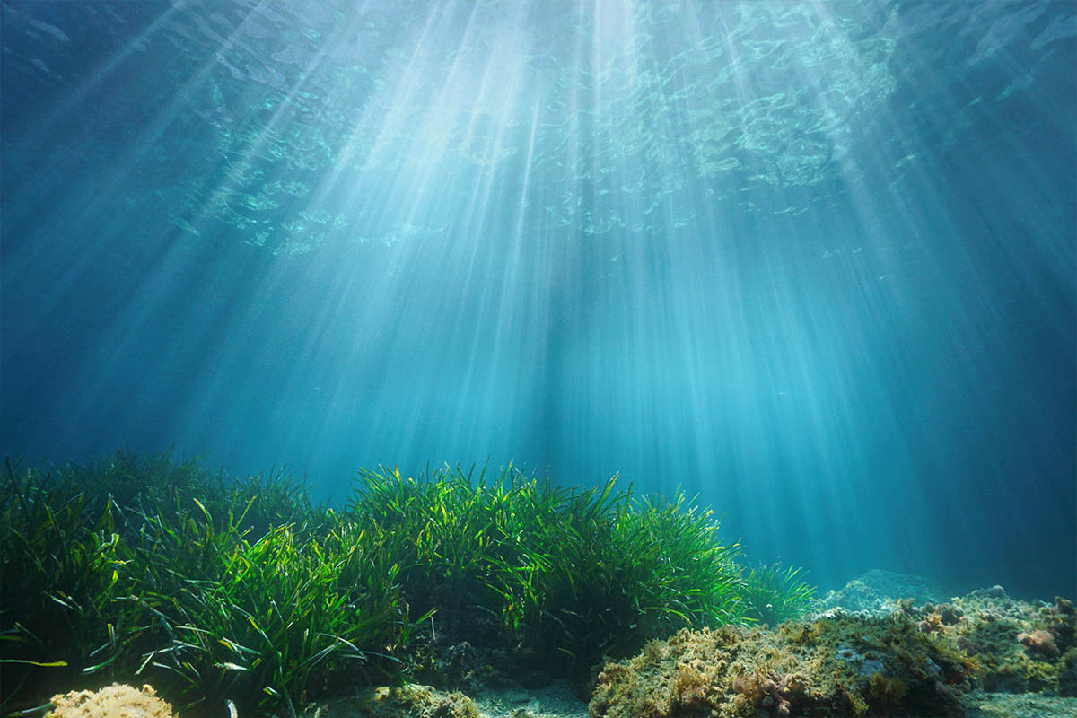 Luce solare naturale sott'acqua attraverso la superficie dell'acqua con fanerogame e roccia sul fondo del mare Mediterraneo