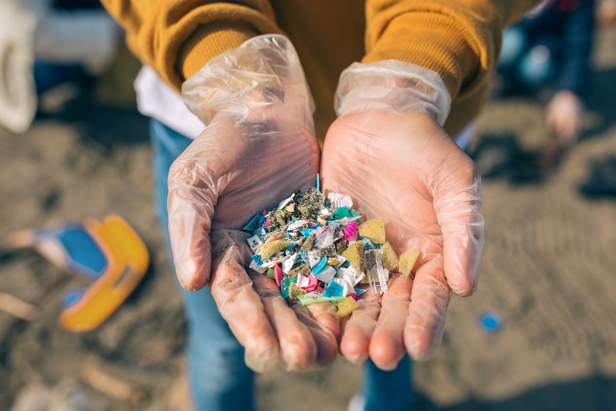 Microplastiche