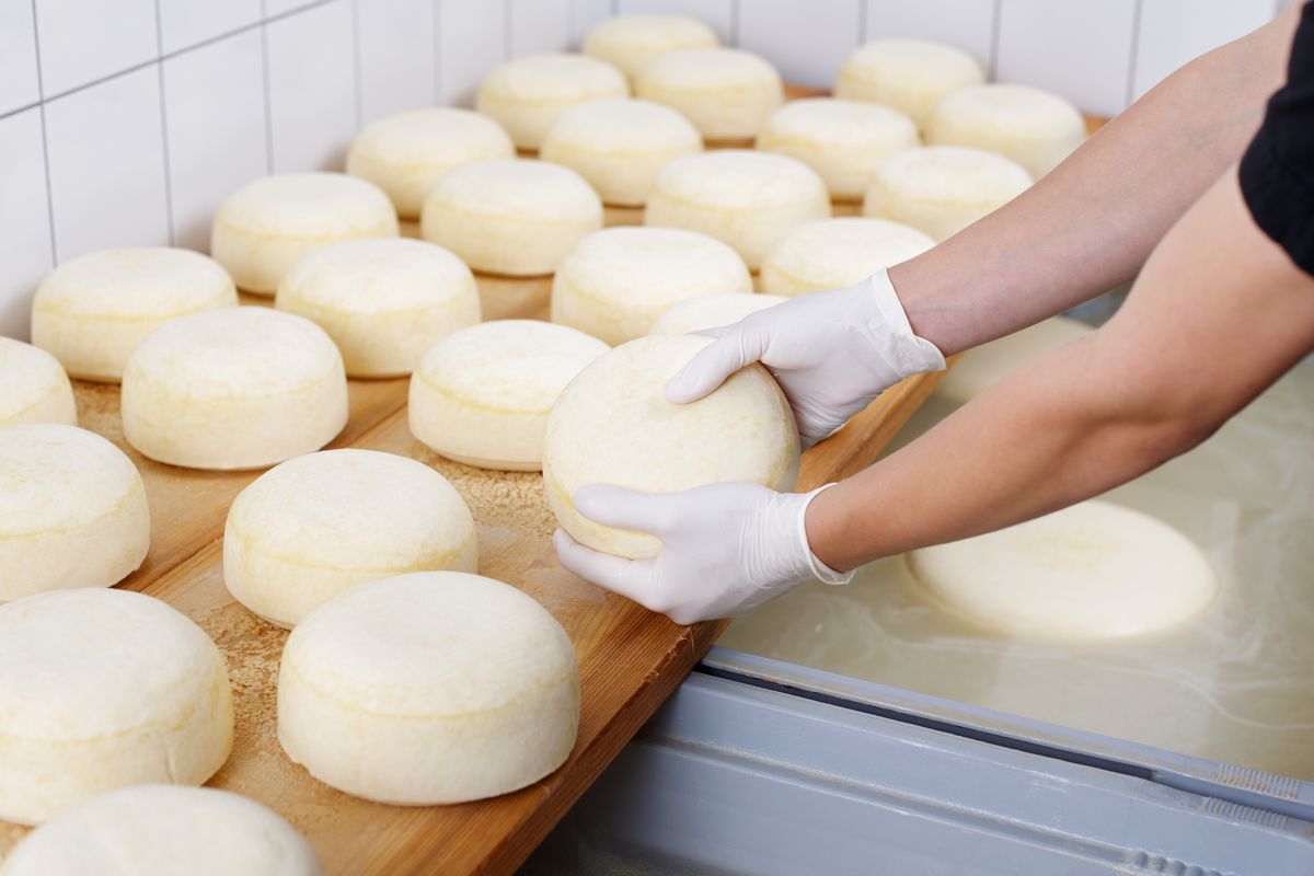 Un operaio al lavoro in un'azienda casearia