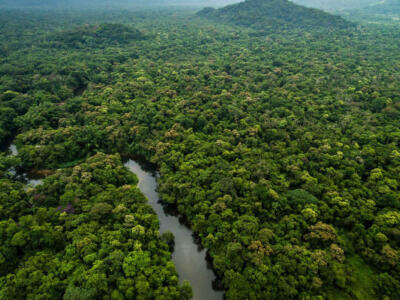 Foresta
