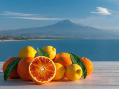 Gli agrumi della Sicilia