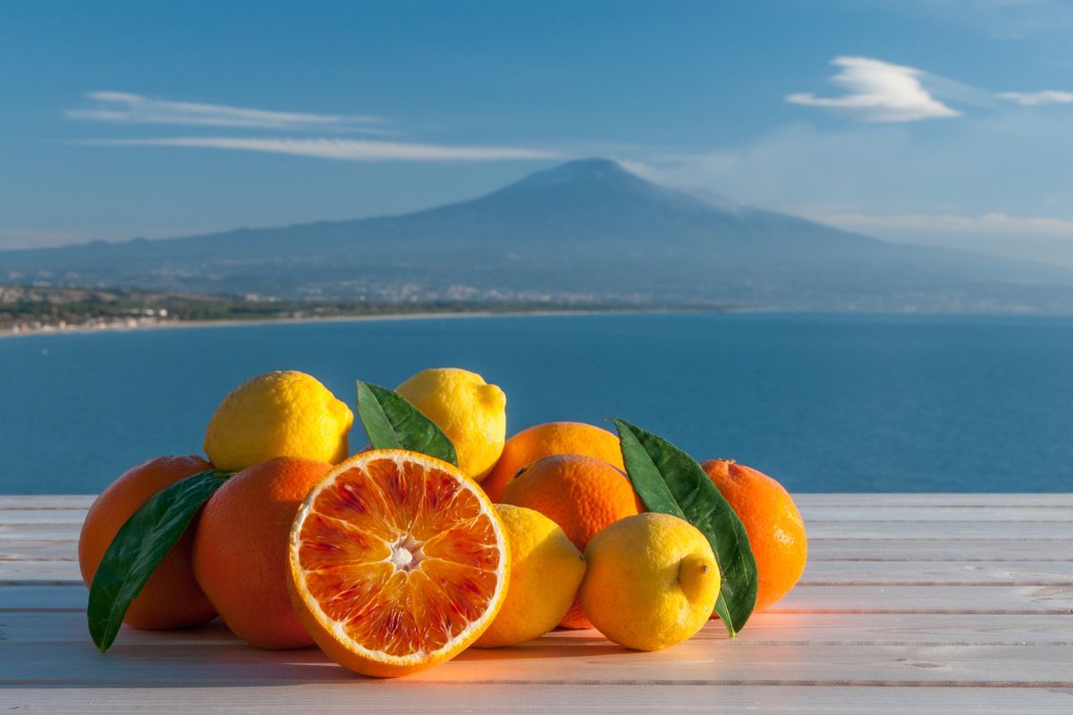 Gli agrumi della Sicilia