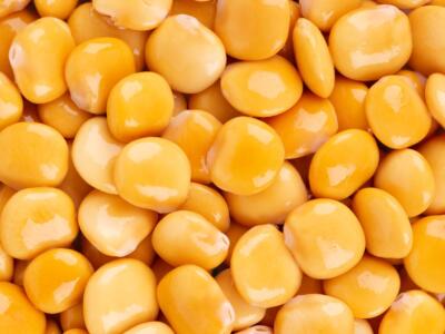 Lupini