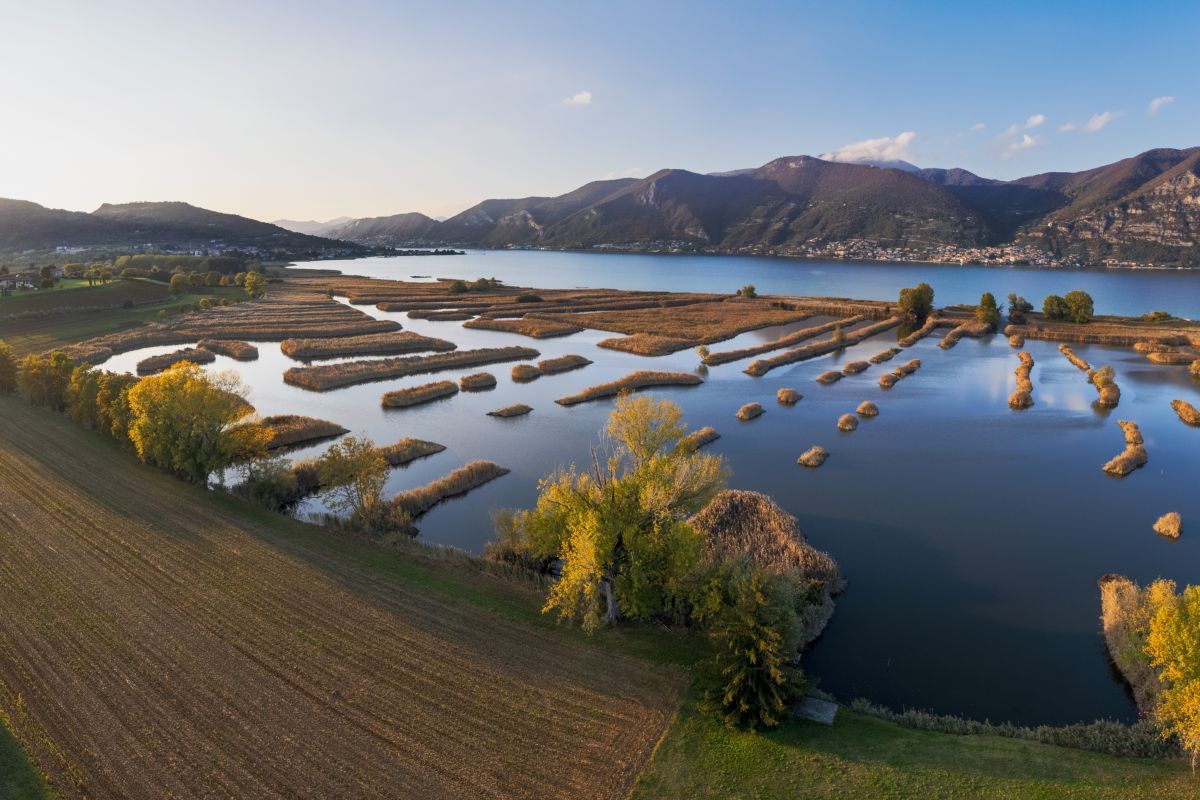 La riserva naturale Torbiere del Sebino sul lago d'Iseo, una delle tappe della Via delle Sorelle