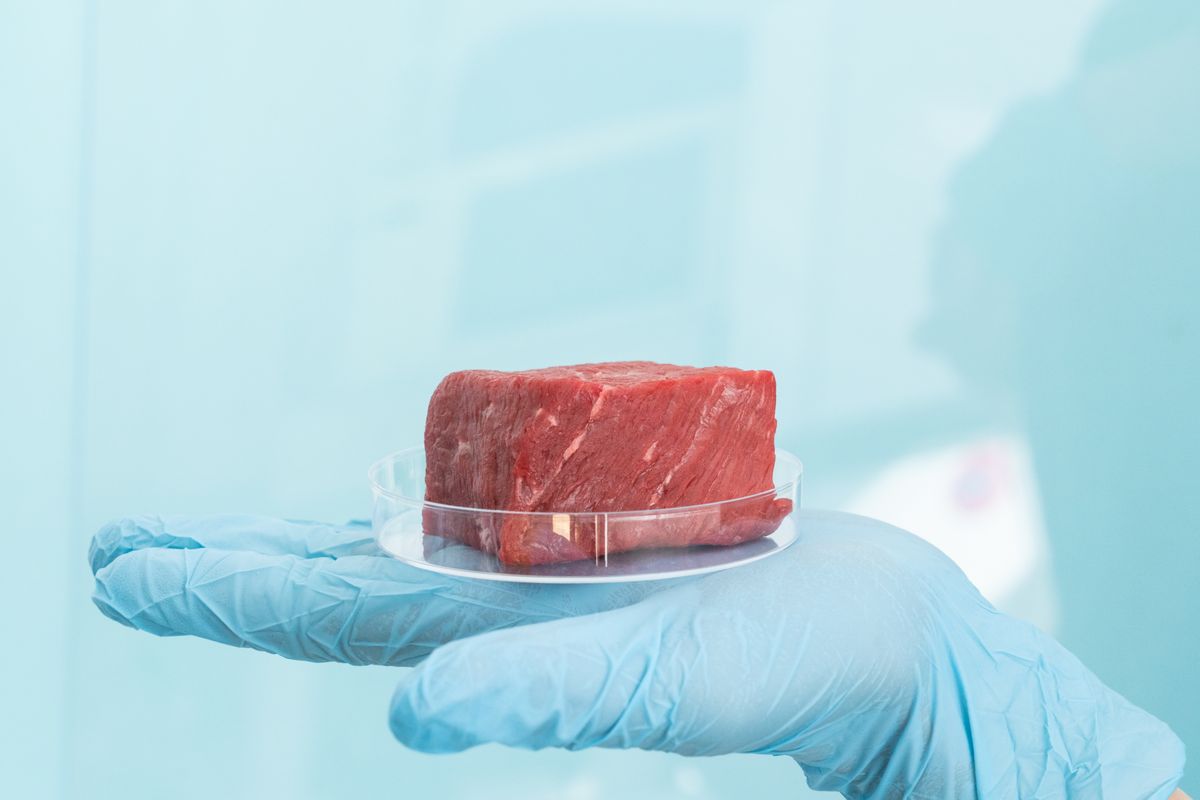Carne coltivata in laboratorio