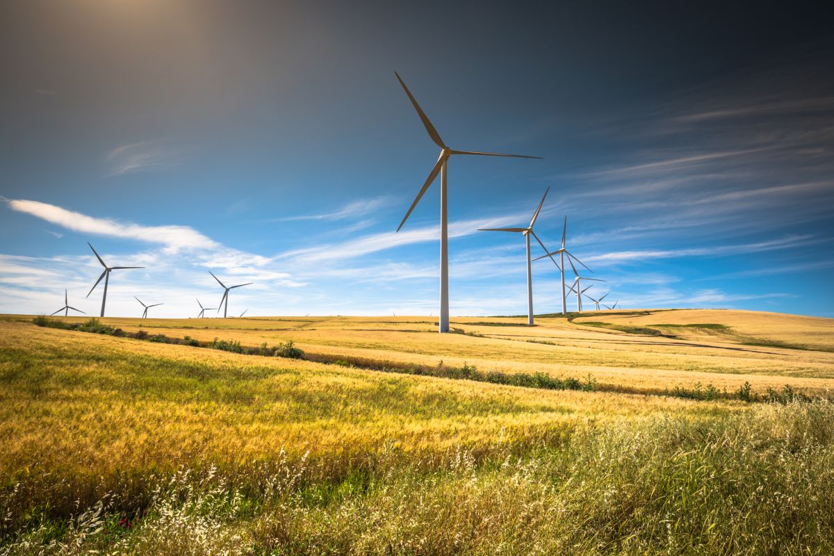 Energia eolica