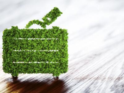 Turismo ecologico