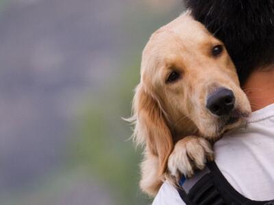 Uomo abbraccia cane