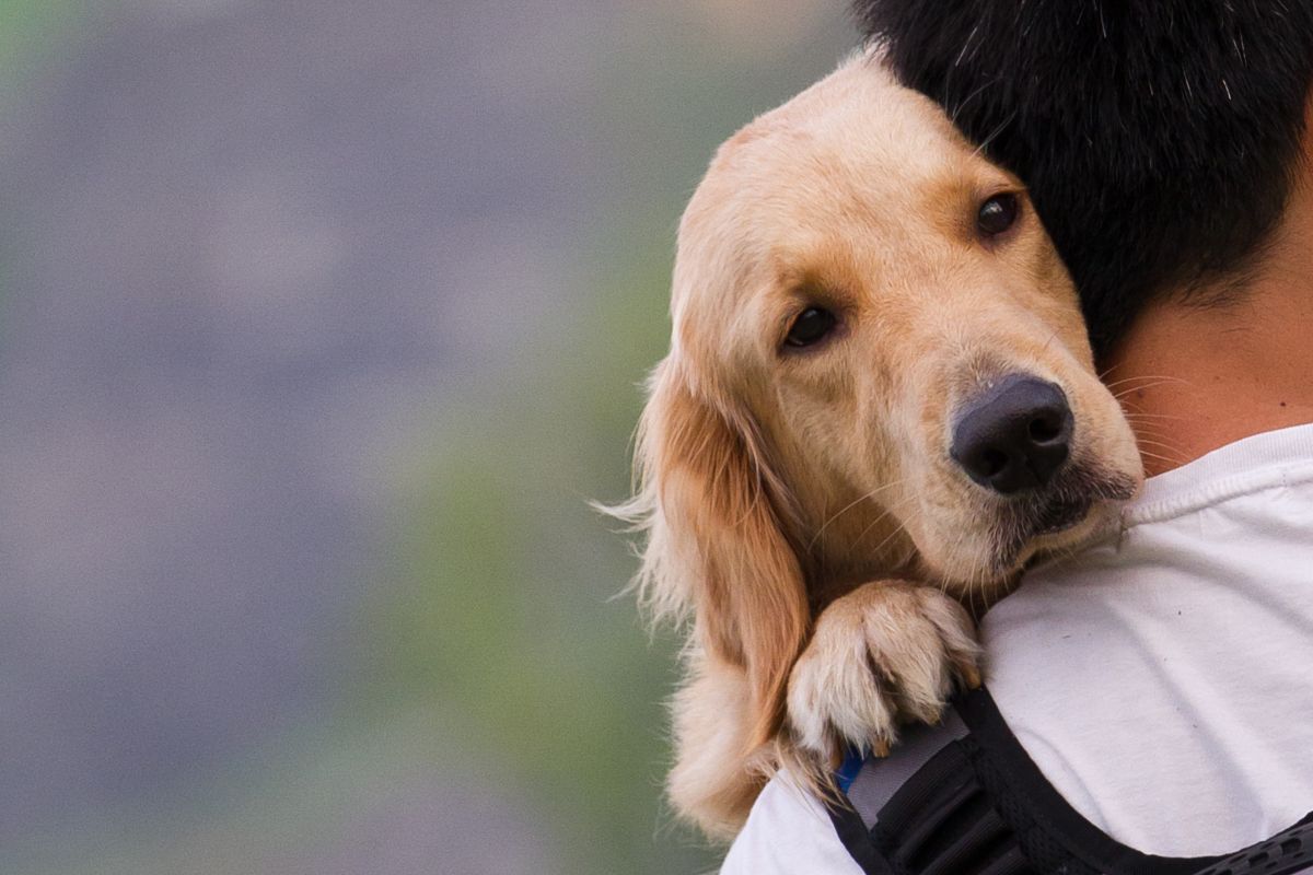 Uomo abbraccia cane