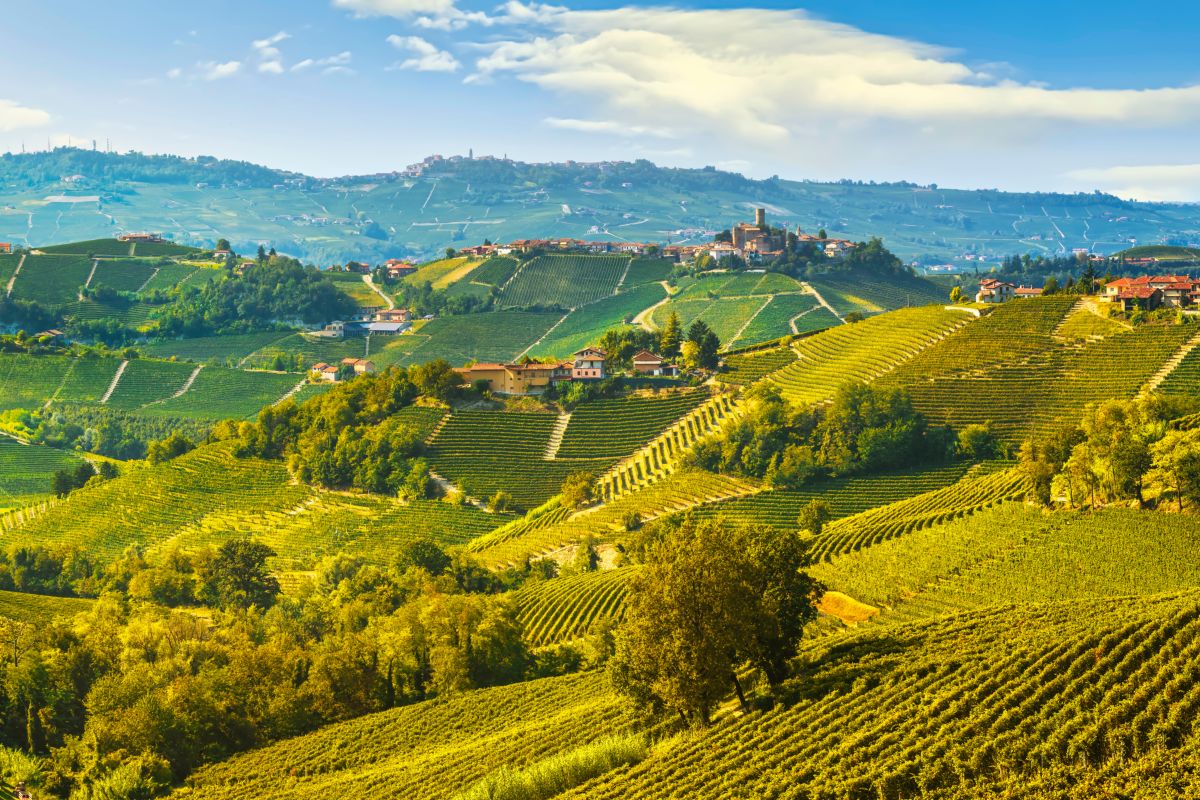 Castiglione Falletto, il comune delle Langhe patrimonio Unesco