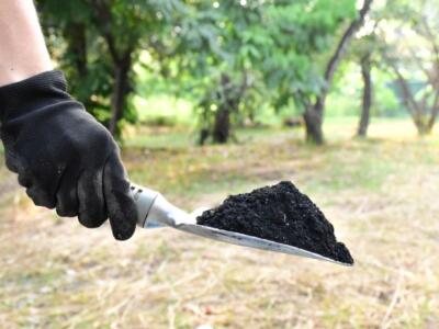 Fertilizzante Biochar su pala