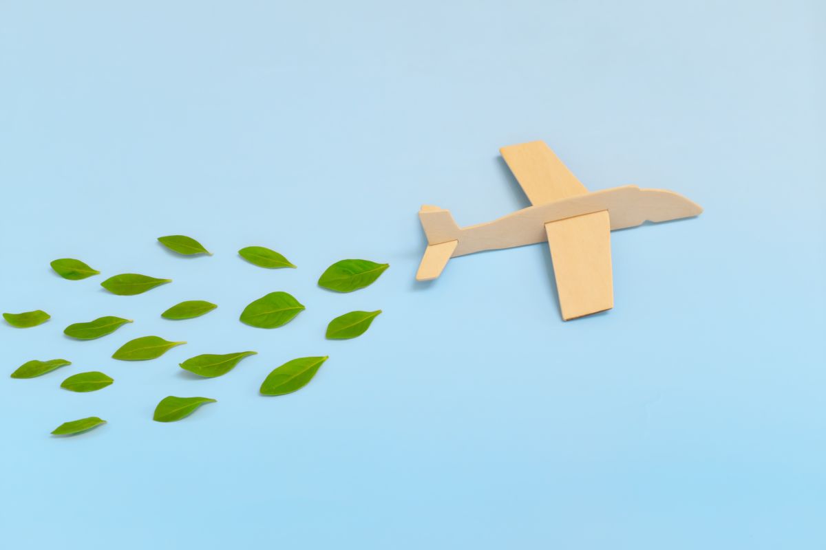 Viaggio ecosostenibile