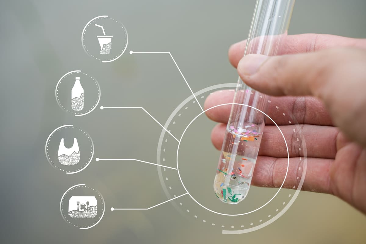 Microplastiche