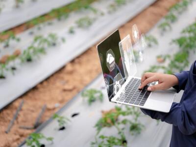 Un agricoltore con il computer