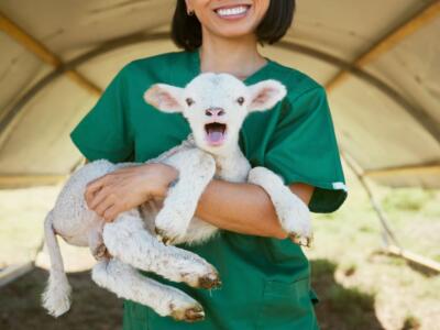 Benessere animale