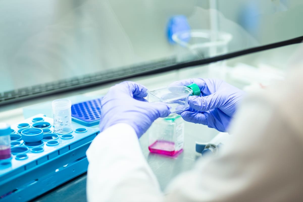 Un ricercatore lavora a cellule coltivate in vitro