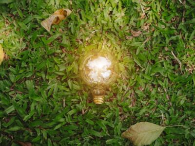 Una lampadina accesa in un prato