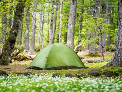 Tenda da campeggio nella foresta